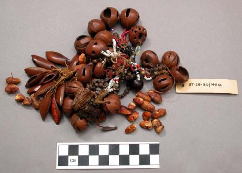 Chief's charm - made from dried fruits, nuts; shells; colored beads