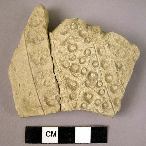 Potsherd - light colored, incised, moulded