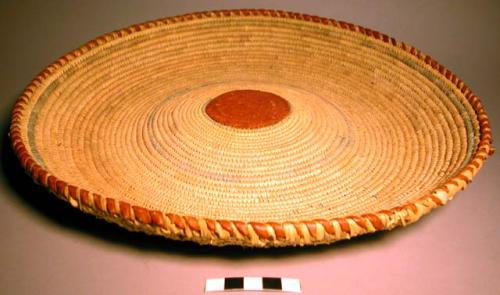 Tray, coiled basketry