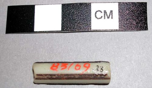 Bead fragment from 11-46-50/83148