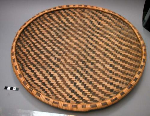 Winnowing or sifting basket