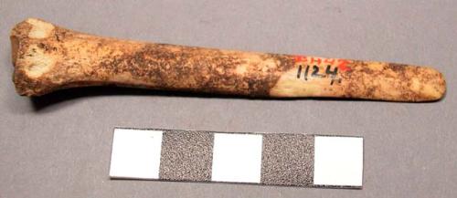 Bone basket tool - 17 Dyn.