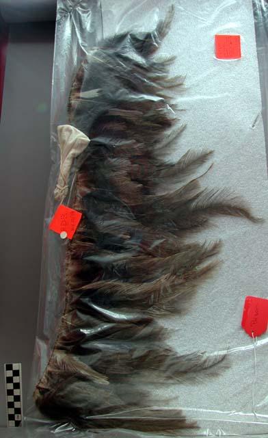 Skirt of emu feathers