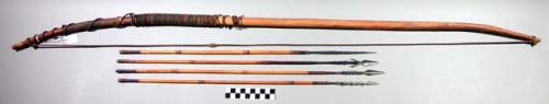 Bow, wood shaft, skin wrap with dewclaws at 1 end, twisted fiber bowstring