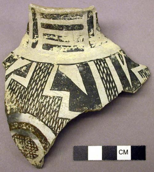 sherd