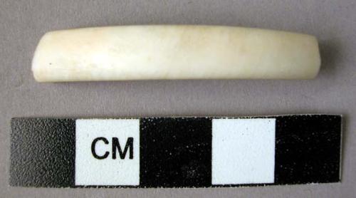 Shell bangle fragment