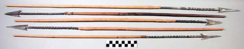 Arrows, triangular barbed metal points, spiral stem, wood shaft, fiber wraps