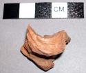 Wood fragment from 11-46-50/83148
