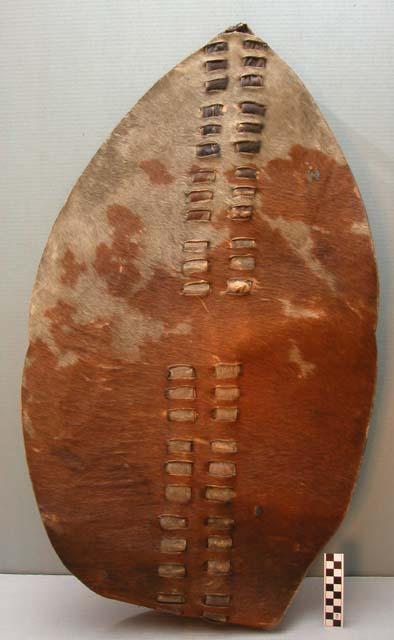 One Zulu shield of hide