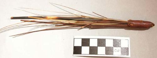 Porcupine quill & grass bundle, bound at 1 end w/ sewn leather.