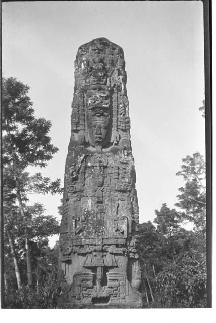 Stela F, South face, 1934