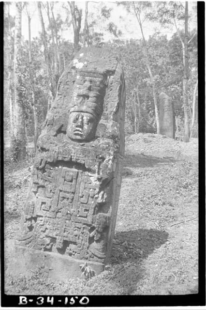 Stela K, before straightening, Stela J in background, East side