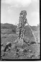 Excavation of Stela F