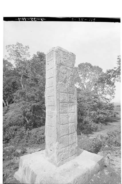 Back of Stela 2 after reparation