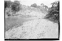 View from Copan River of high cut made by it into the ruins