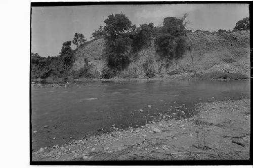 View from Copan River of high cut made by it into the ruins