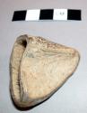 Piece of horn, in witch doctor's basket 39-64-50/3459