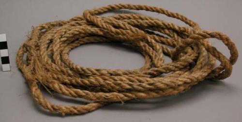 "Mataji": 3 ply rope.  Sent to collector for identification (sketch)