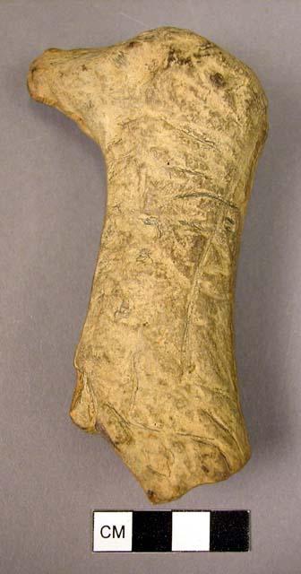CAST of basal portion of reindeer horn carved to suggest bird's head and beak