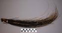 Porcupine quill fly whisk.  Umusinda Wachinungu