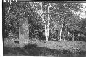 Stela A, Stela C and D in background, photographed 1935