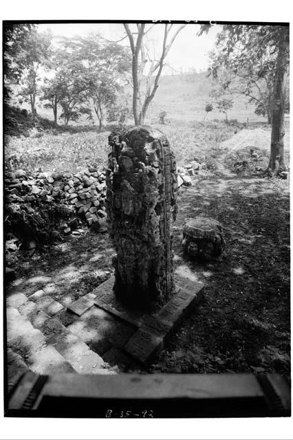 Stela N after reparation, Southeast view