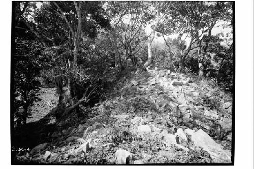 Top of mound before excavation, Structure 22