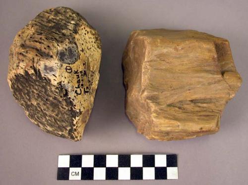 8 medium single-ended hand adzes of fossil wood