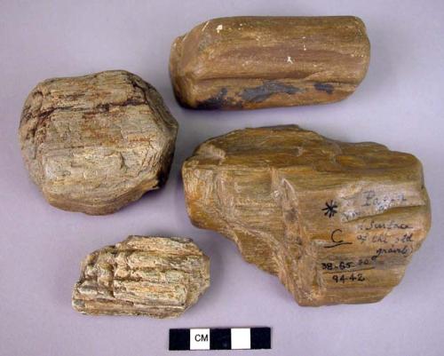 4 miscellaneous grade C implements of fossil wood