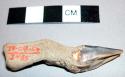 Hoof of small blackish bush duiker - in Witch Doctor's basket