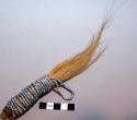 Whistle used by Witch Doctor - made of animal's tail with blue & white beaded ha