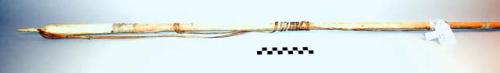 Ivory tipped seal harpoon