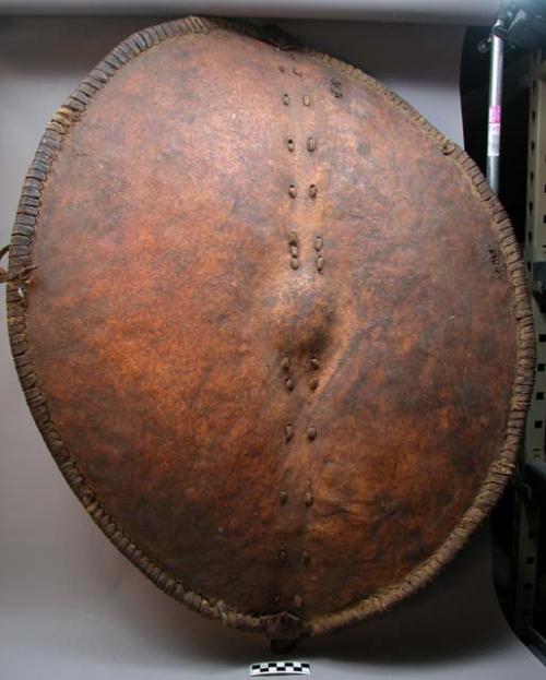 Oval hide shield