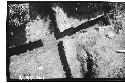 Stela 6 cruciform chamber laid bare