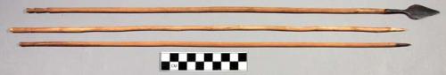 Small arrows- wooden shaft and iron leaf-shaped head (kodwa)