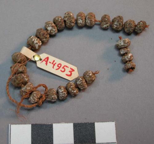 Acorn beads