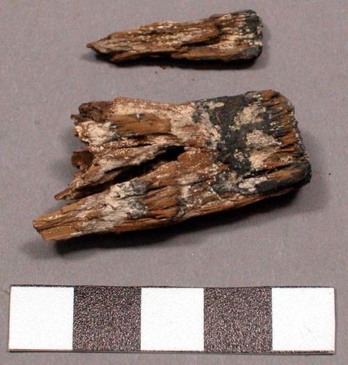 Fragments of wooden hilt