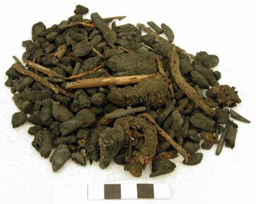 Organic, assorted floral remains, most carbonized