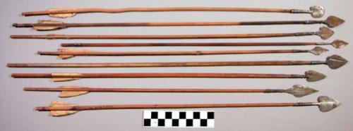 32 Small arrows with broad flat metal heads, and bamboo shafts