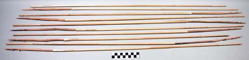 Bundle of reed shafted arrows