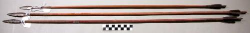 Iron pointed arrows