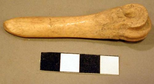 Bone tool, perforated