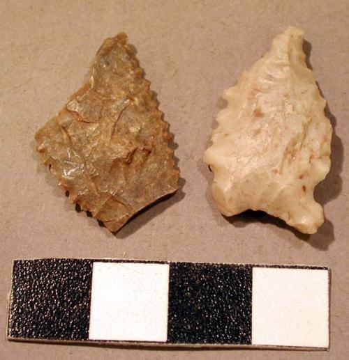 Serrated edge chipped stone points - one fragmentary