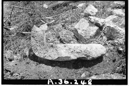 W. Buried Bldg., nose or fang from front center