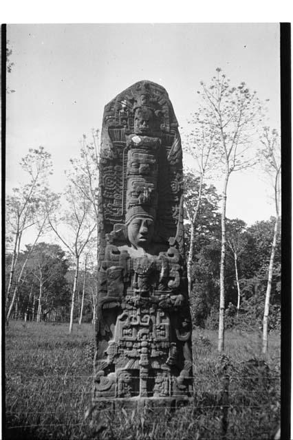 Stela D, South side