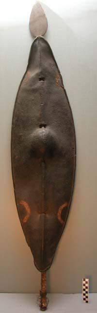 Hide shield with iron-tipped wooden spear attached