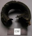 Unidentified reptile skin object, shaped like tire halved lengthwise, ripped edg