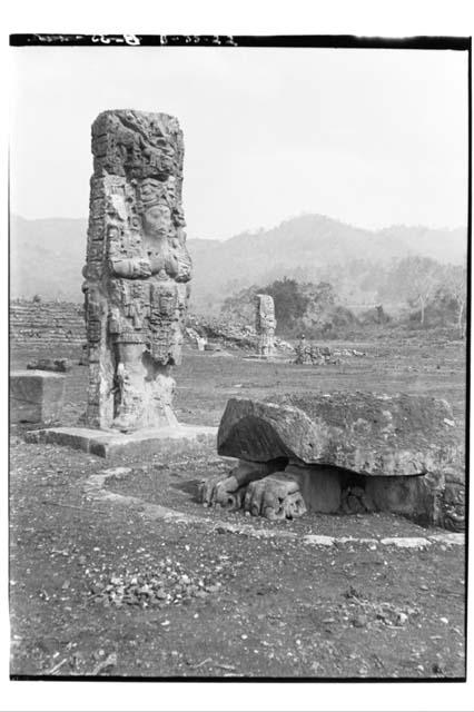 Stela C after reparation. Northeast view