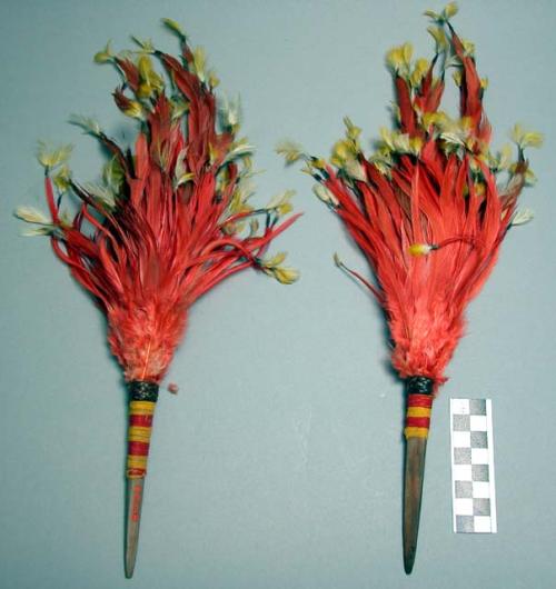 Feather head ornament