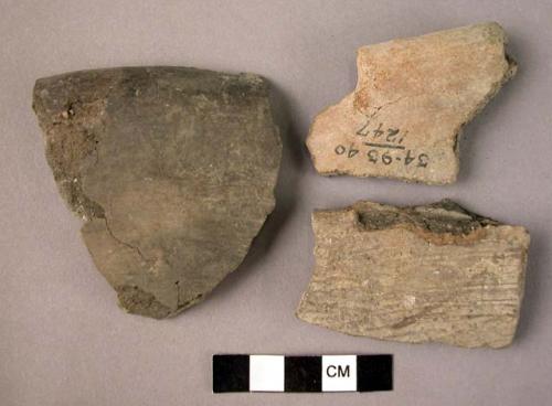 Fragments of pottery bowls